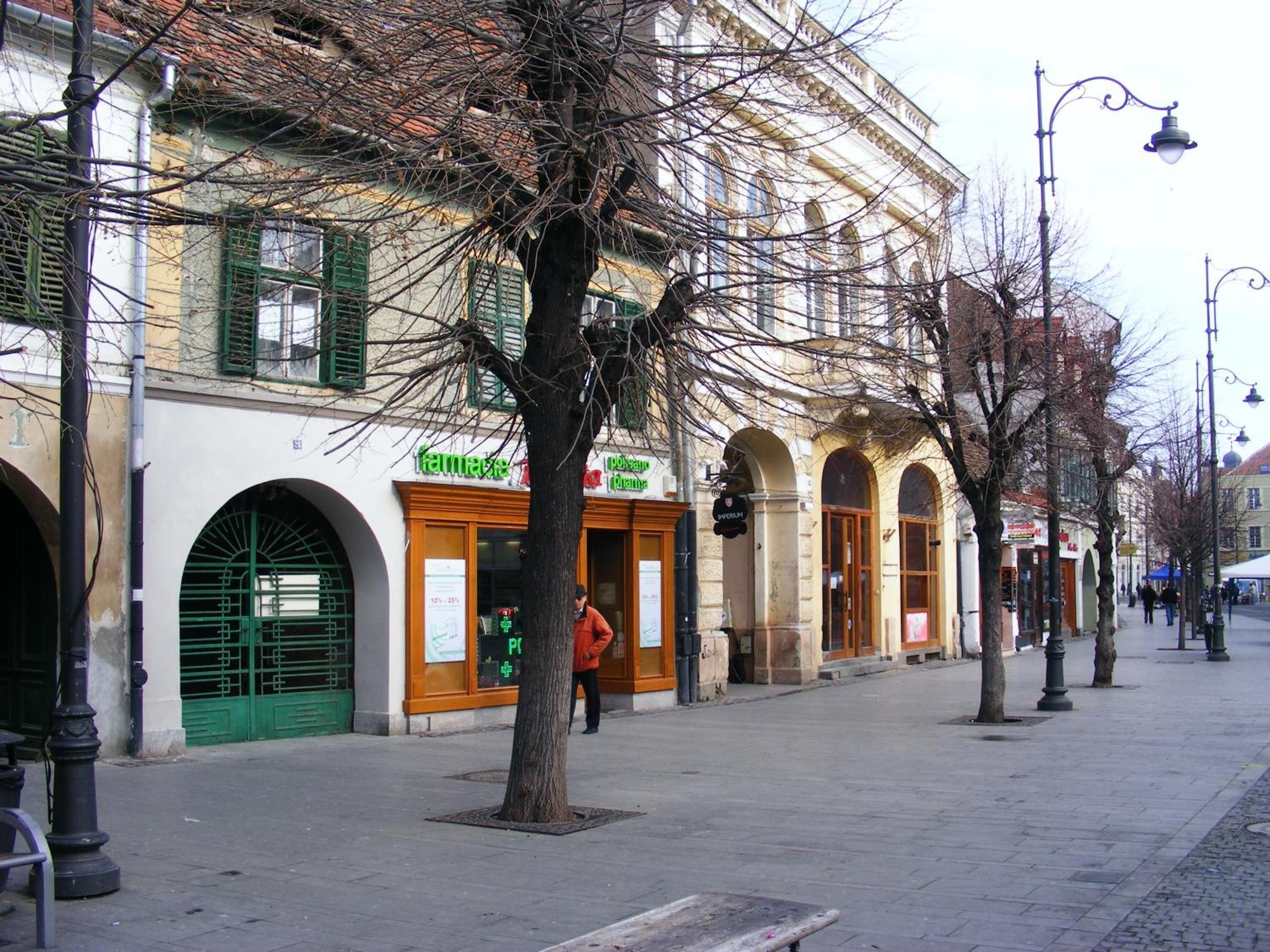 Apartment Gabriel Sibiu Bagian luar foto